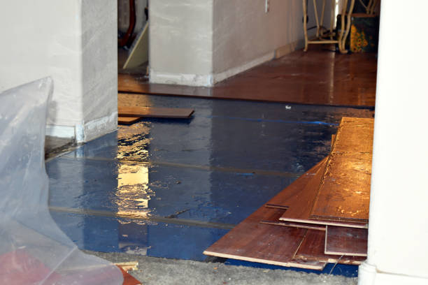 Professional Basement Water Removal technician working in Mount Calm, TX